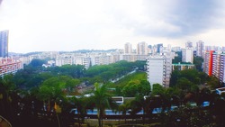 Blk 441B Clementi Avenue 3 (Clementi), HDB 4 Rooms #183825772
